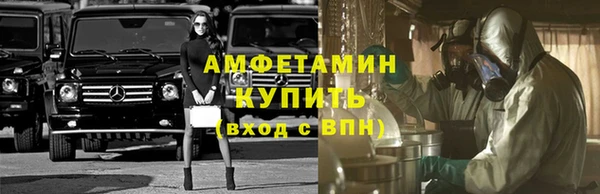 крисы Новодвинск