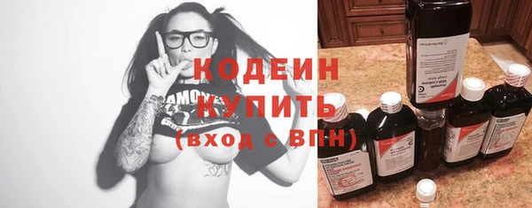 крисы Новодвинск