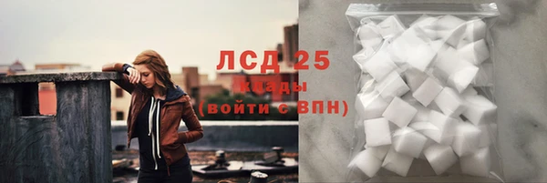 мдпв Новозыбков