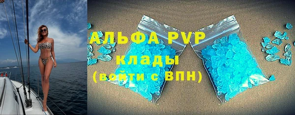 крисы Новодвинск