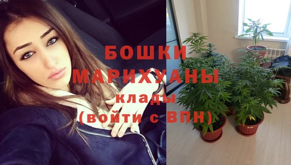 молекула духа Дмитровск