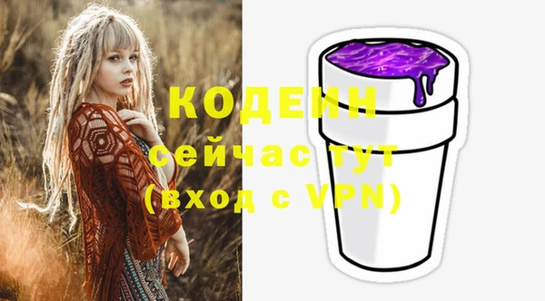 мдпв Новозыбков