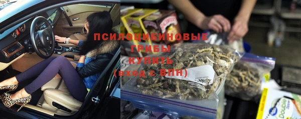 крисы Новодвинск
