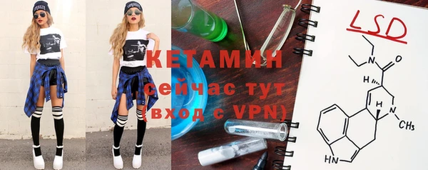мдпв Новозыбков