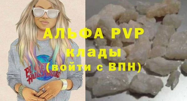 крисы Новодвинск
