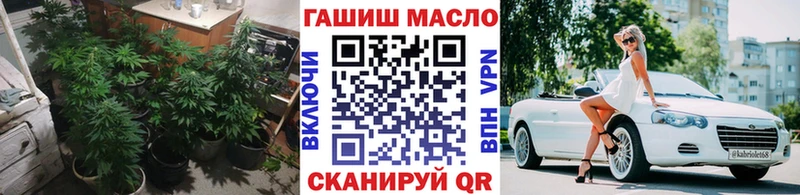 hydra ONION  что такое   Куса  это Telegram  ТГК Wax 