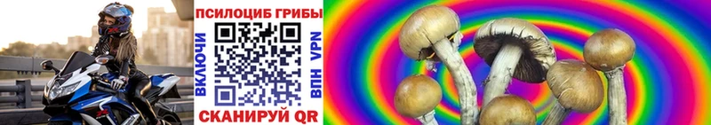 Галлюциногенные грибы Psilocybe Куса